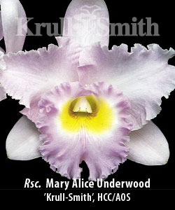 Rsc. Mary Alice Underwood 'Krull-Smith', HCC/AOS