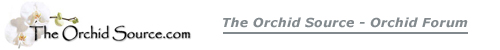 The Orchid Source Forum