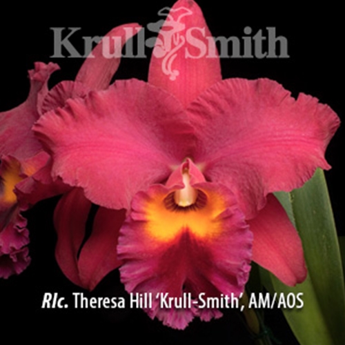 Rlc. Theresa Hill 'Krull-Smith', AM/AOS