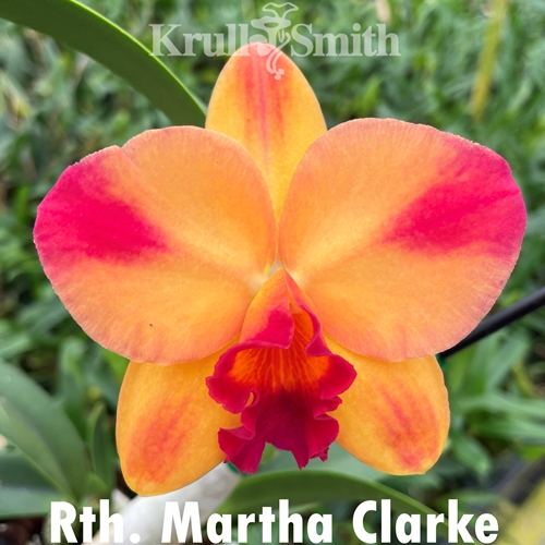 Rth. Martha Clarke