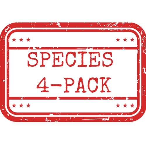 *Cattleya Species 4-Pack*