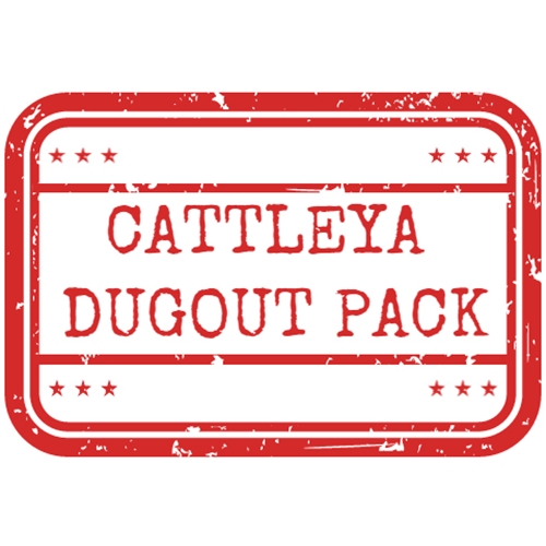 *Cattleya Dugout 6-Pack*
